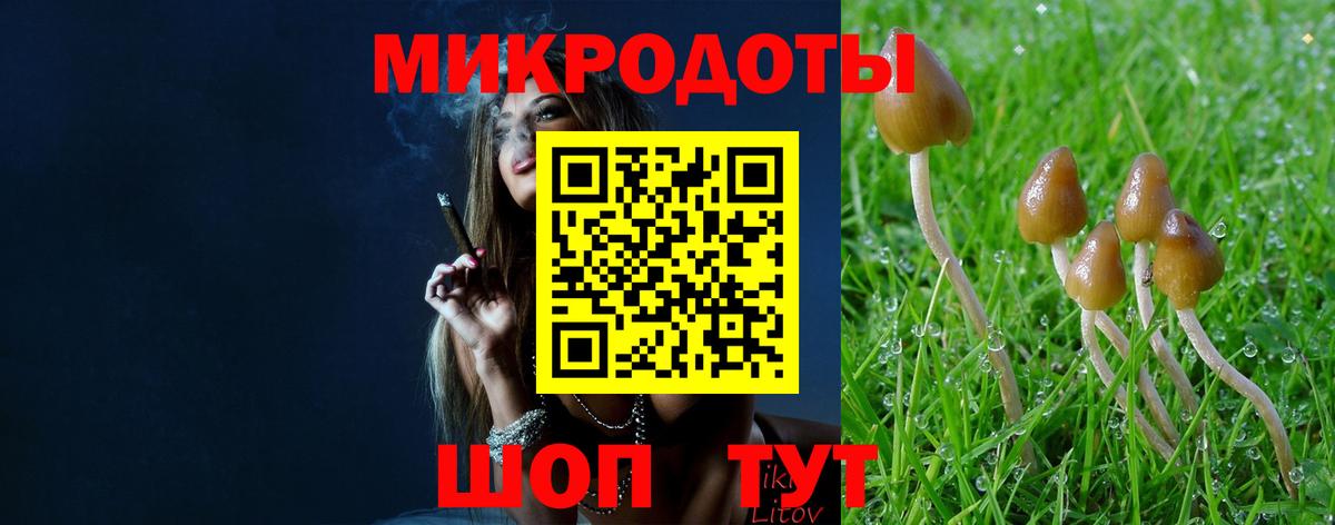 Псилоцибиновые грибы мухоморы Благодарный