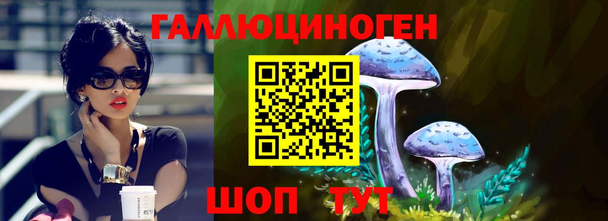 Благодарный  Псилоцибиновые грибы MAGIC MUSHROOMS  как найти закладки  Вход с VPN  Псилоцибиновые грибы GOLDEN TEACHER 