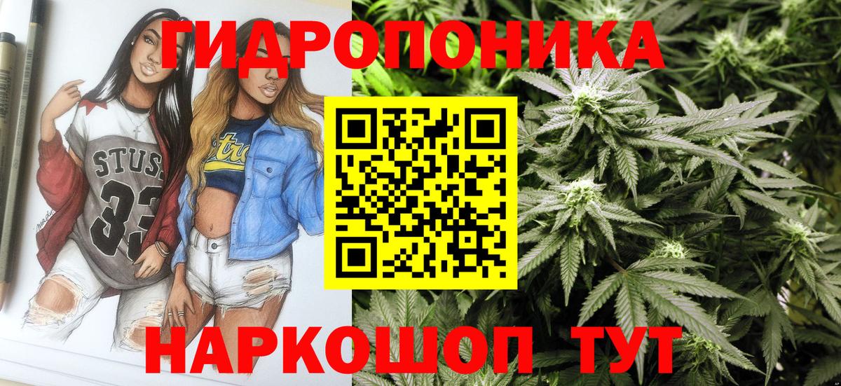 Шишки марихуана MAZAR  МАРИХУАНА Bruce Banner  Бошки Шишки семена  Вход с VPN  Благодарный  Марихуана конопля 